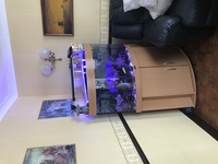 Jewel Trigon 190 Marine Tank