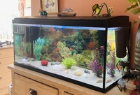 160L Aquarium with all accessories and more