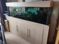 Large Aquarium 7ftx2ftx18in Inc sump + trickle fltr