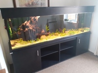 8x2x2 Fishtank stand hood lots of extras £1100