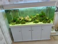 White Marine Tank 5ft