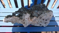 Large Aquarium Rock (ideal for malawi or marines)