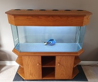 200L Tank with cabinet and hood