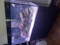 Series 2 Aqua Reef 400 + contents + Equipment + R/O Machine £650