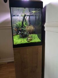 fluval Roma 125