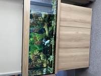 Fish Tank and cabinet