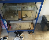 3 x Aquarium+ equipment+ Plastic hood covers in Leeds