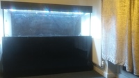 Fish tank and sump