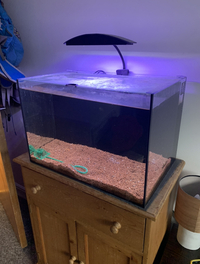 60cm 100L all in one aquarium + stand + accessories SE London