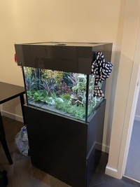 ND Aquatics Aquarium (Grey) 24x18x18 - £250