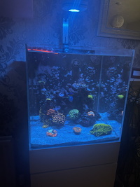 Marine Tank Shut Down, live stock availabe