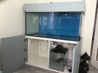 ND Aquatics 4x2x2ft tank - £380