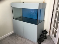 ND Aquatics 4x2x2ft tank - £380