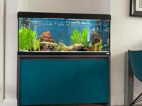 Tropical fish tank for sale