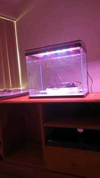 New 72ltre fish tank and pump £50