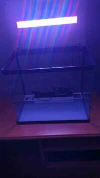 New 72ltre fish tank and pump £50