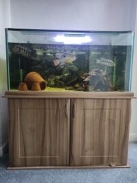 Large 4x2x2 Aquarium