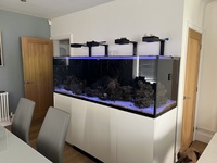 Redsea 900 3XL Setup