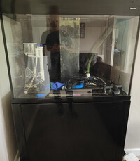 Aquarium and all accessories Aqua One AquaReef 300 series 2 - £250