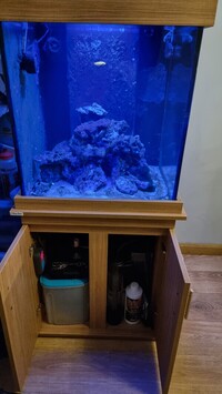 2ft cube aquarium