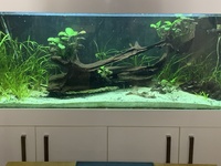 Complete (600 litre) Aquarium set-up for sale