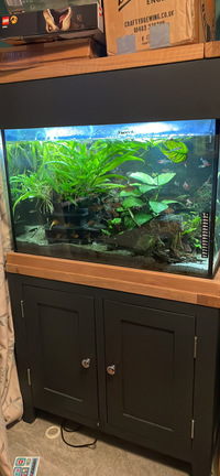 AquaOak Black Edition, Fluval Plant LED & Oase BioMaster thermo 250