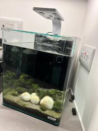 Dennerle Nano Cube 20L Aquarium (Free)