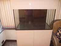 250 LITRE AQUARIUM