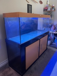 Juwel rio 450 fishtank with stand and juwel multilux led light