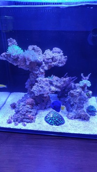 RedSea max nano. For Sale plus extras