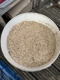 Corallite sand