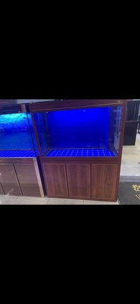 PLANET AROWANA PREMIUM AQUARIUMS - TROPICAL & MARINE TANKS