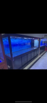 PLANET AROWANA PREMIUM AQUARIUMS - TROPICAL & MARINE TANKS