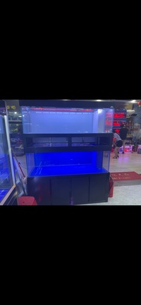 PLANET AROWANA PREMIUM AQUARIUMS - TROPICAL & MARINE TANKS