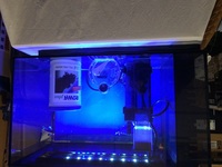 Fluval Evo Sea 52 Marine Aquarium for sale