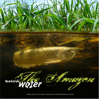 The Amazon Below Water Book