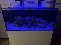 Red Sea Reefer G2 425 max spec