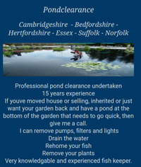 POND CLEARANCE - KOI - POND CLEARANCE - SERVICE