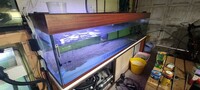 8 x 3 x 20in fish tank and fish