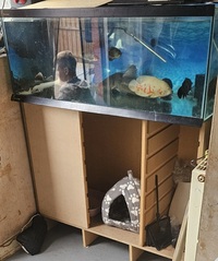 Fishtank and stand 4 foot