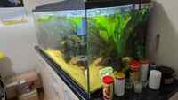 Closing down tanks: Equipment & Aquarium for sale