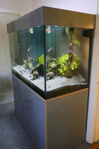 Aquariums 4 Life Aquarium and cabinet stand