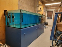 Tropical fish & 8ft x 2.5ft x 2.5ft tank full set up for sale £1,200