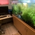 7ft x 3ft x 2ft Monster Discus Tank £2000