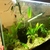 VERY GOOD CONDITION FISH TANKS and equipment for sale