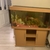 Must Go Juwel Rio 350 Tank and Cabinet Full Set UP £300