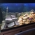 Fluval 240 Tank and cabinet £230