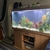 5 ft 450 litre aquarium for sale and all equipment