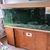 fish tank 6f