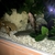 x3 Plecs common 8 inch and smaller